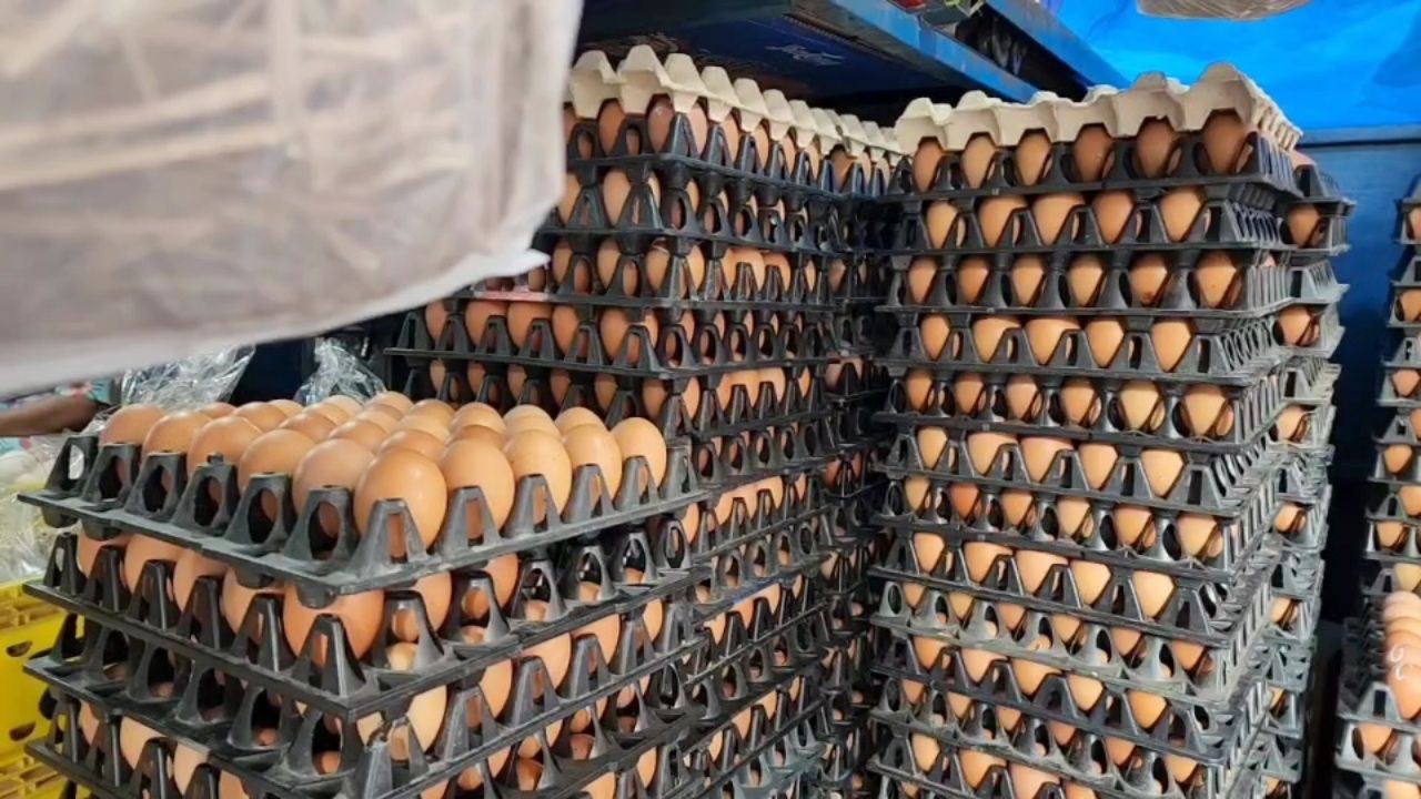 ราคาไข่ไก่เพิ่มขึ้น แม่ค้าระวังปรับราคาขาย