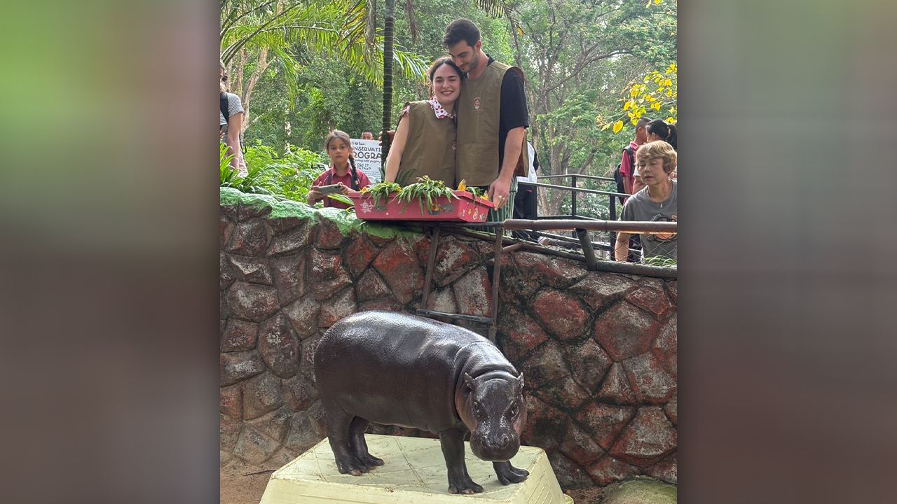 คู่รักอิตาลีบินเซอร์ไพรส์ขอแต่งงานท่ามกลางน้องหมูเด้ง