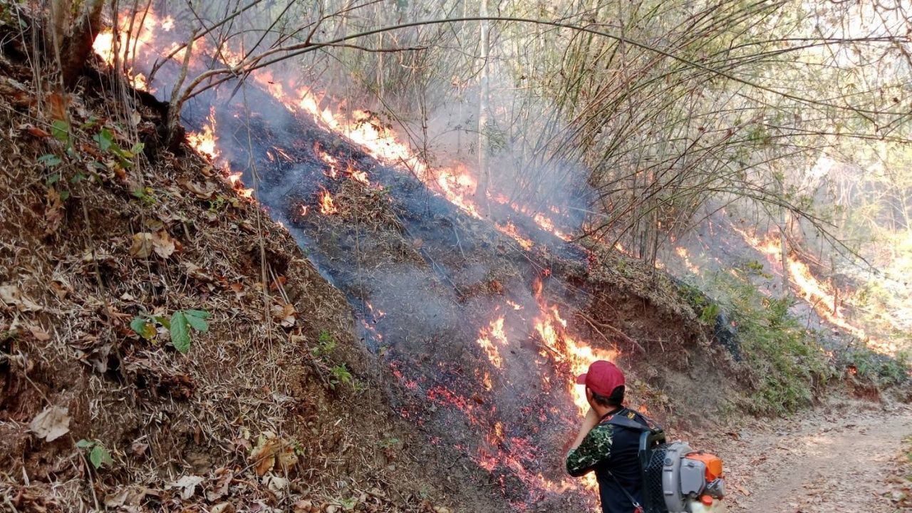 ไฟป่าในแม่ฮ่องสอนลุกลามครอบคลุม 7 อำเภอ ผู้ว่าฯ เร่งหาแนวทางรับมือ