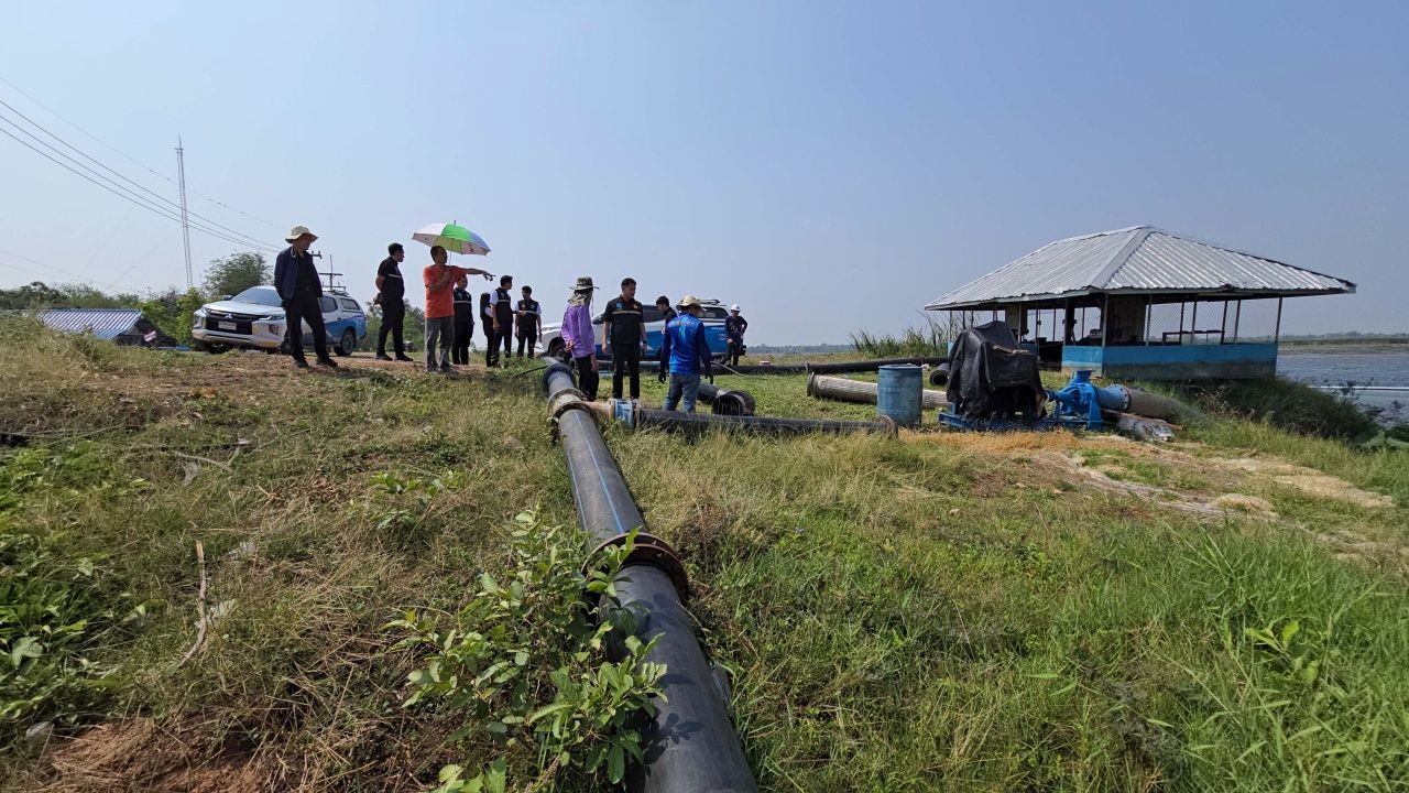 ชาวเมืองพลเฮ 