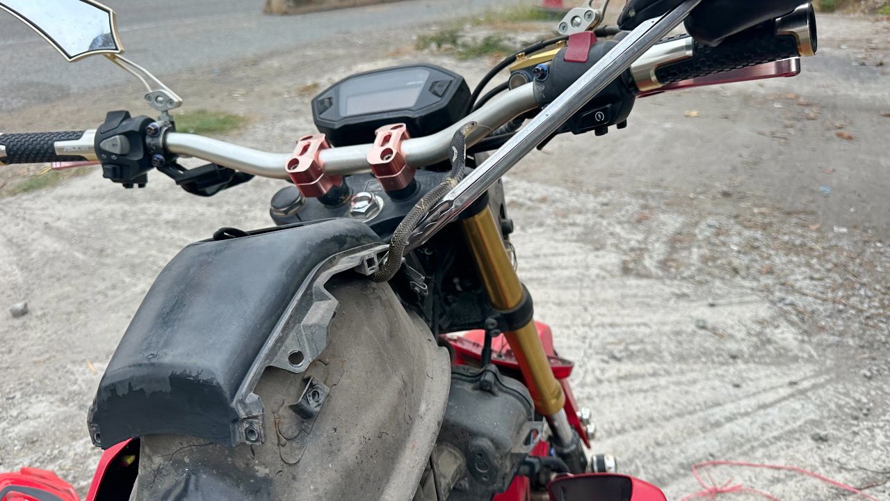 สาววัย 29 ตกใจ พบลูกงูเห่าเลื้อยพันมือขณะขี่มอเตอร์ไซค์