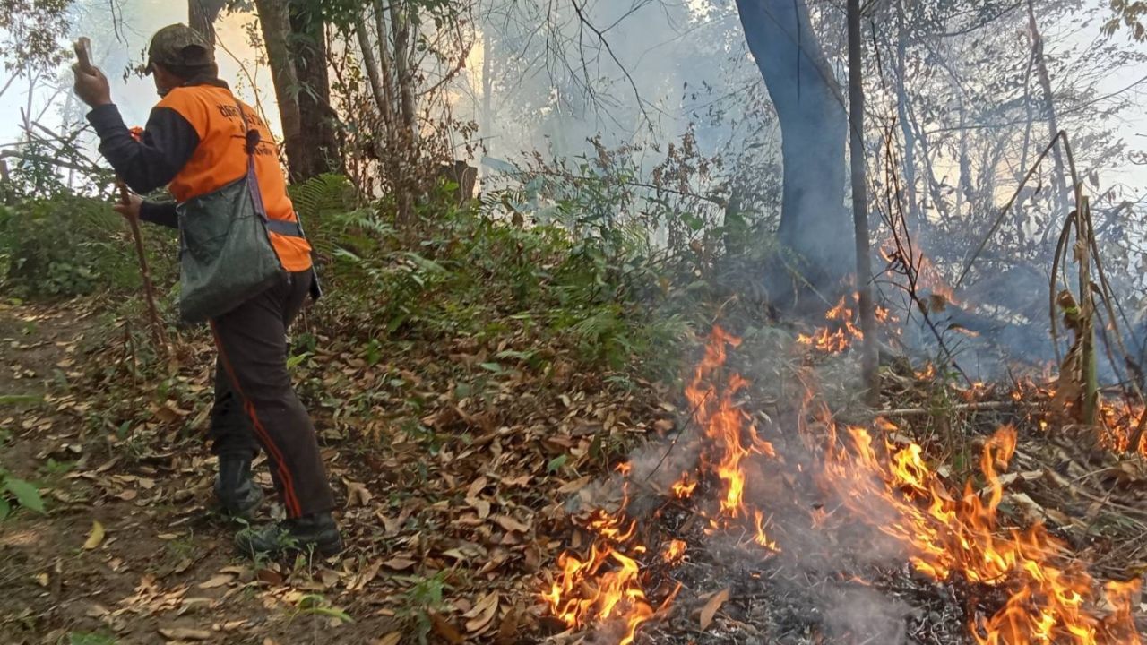 ไฟป่าเชียงใหม่-ภาคเหนือ พุ่งขึ้น 4 เท่าตัว ลุ้นคลี่คลายทันสงกรานต์