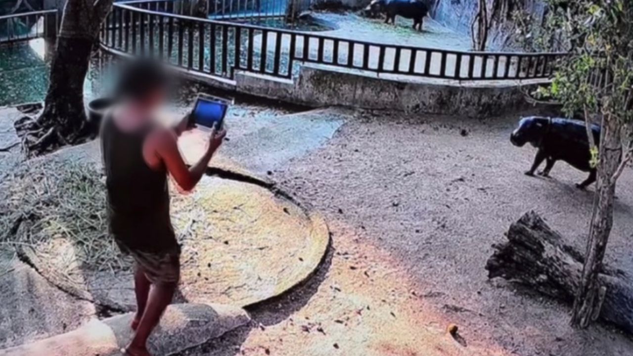 ศาลสั่งปรับ 1 หมื่นบาท ชายโดดบ่อ “หมูเด้ง” ฮิปโปแคระ สวนสัตว์เปิดเขาเขียว