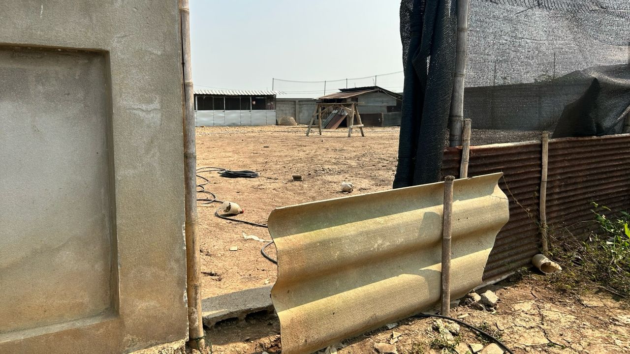 สุนัข 3 ตัว บุกเล้าไก่ ไล่กัดตาย 20 ตัว เจ้าของเรียกร้องความรับผิดชอบ