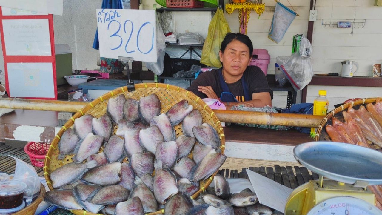 ปลาสลิดบางบ่อ ปรับราคาขึ้นแรง สูงสุดแตะ 100 บาท/กก. แม่ค้าครวญลูกค้าหาย ลดปริมาณการซื้อ