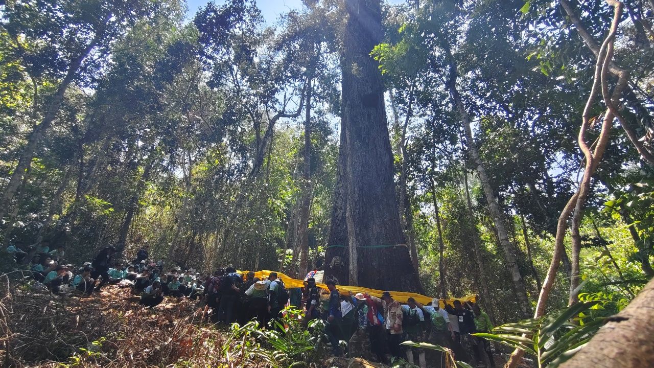 พิธีบวงสรวงต้นตะเคียนทองยักษ์กลางป่าอุทยานฯ ทับลาน ส่องเลขเด็ด 16/4/69