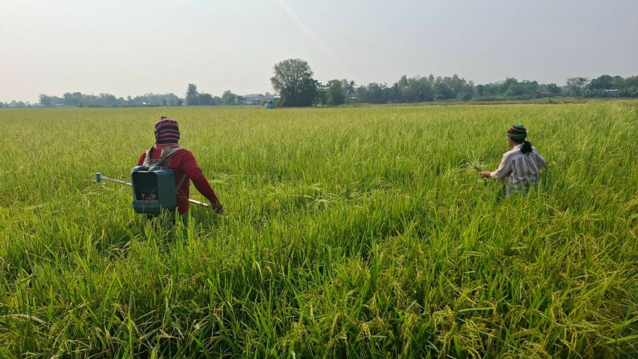 ชาวนาวัย 70 ปี ร้องทุกข์ น้ำมันแพงจนไม่สามารถทำการเกษตรได้