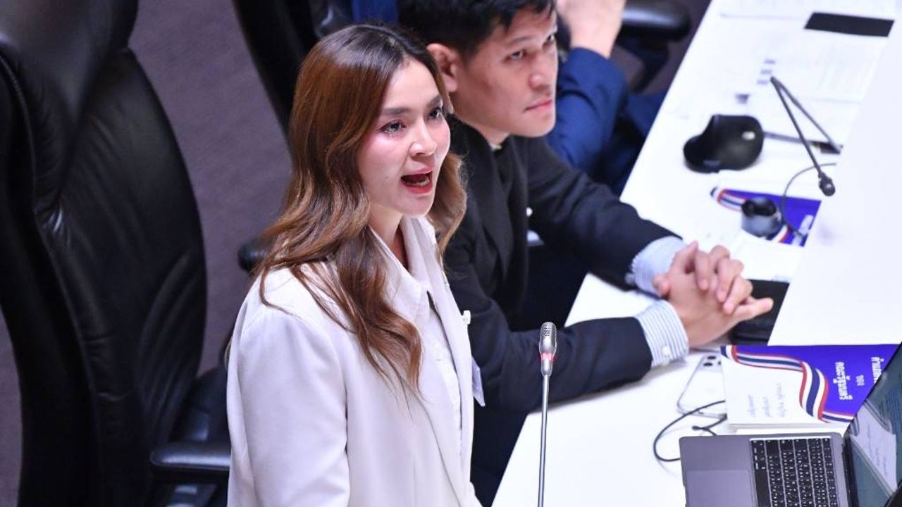 พนิดา ตำหนิรัฐบาลไม่สนใจประชามติ 21.6 ล้านเสียง ยืนยันปชช.เดินหน้าร่างแก้ไขรัฐธรรมนูญ