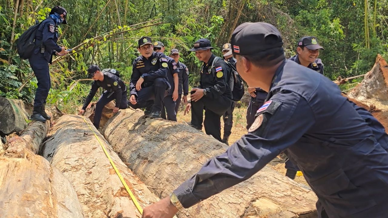 กรมป่าไม้แจ้งความเอาผิดขบวนการบุกรุกป่าเขาปากเตรียม