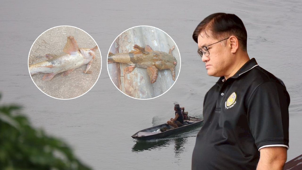 ผู้ว่าฯ เลยลุยตรวจน้ำโขง ยืนยัน “ปลาแค้” มีตุ่ม-กินได้ ไม่เป็นอันตราย หากปรุงสุก