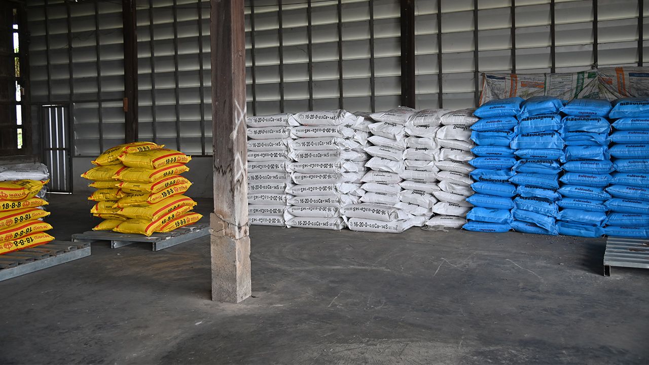 พาณิชย์ ขู่ฟันฉวยโอกาสขึ้นราคาปุ๋ยโทษหนัก ยันสต็อกปุ๋ยไทยมีพอใช้ถึงกลางปี 69