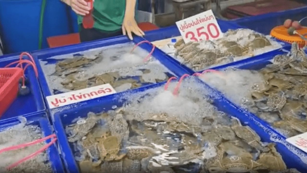 ราคาน้ำมันเพิ่ม ส่งผลกระทบต่อราคาอาหารทะเล