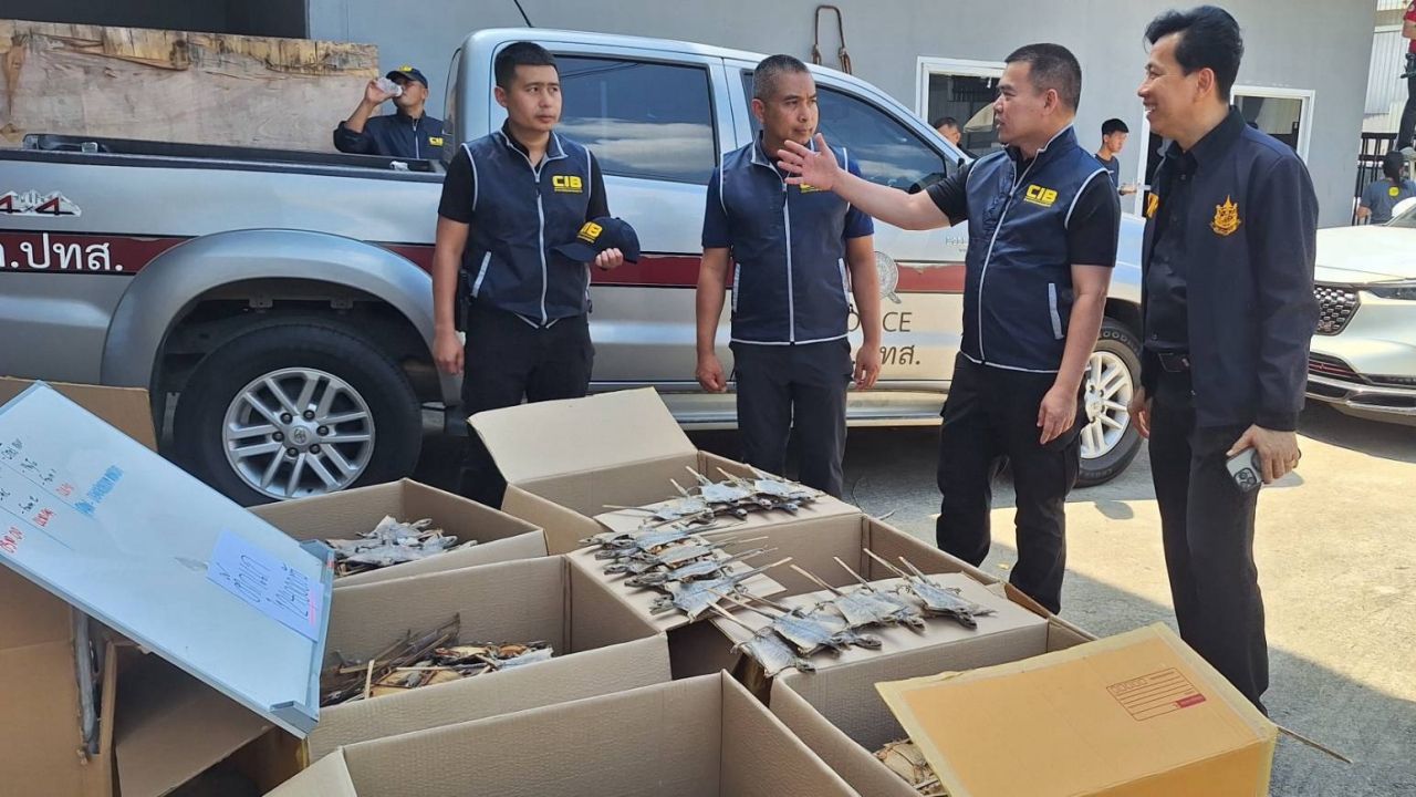 บุกโกดังลำลูกกา ยึดซากตุ๊กแกกว่า 1.2 แสนตัว ไม้หวงห้าม เตรียมส่งไปจีน