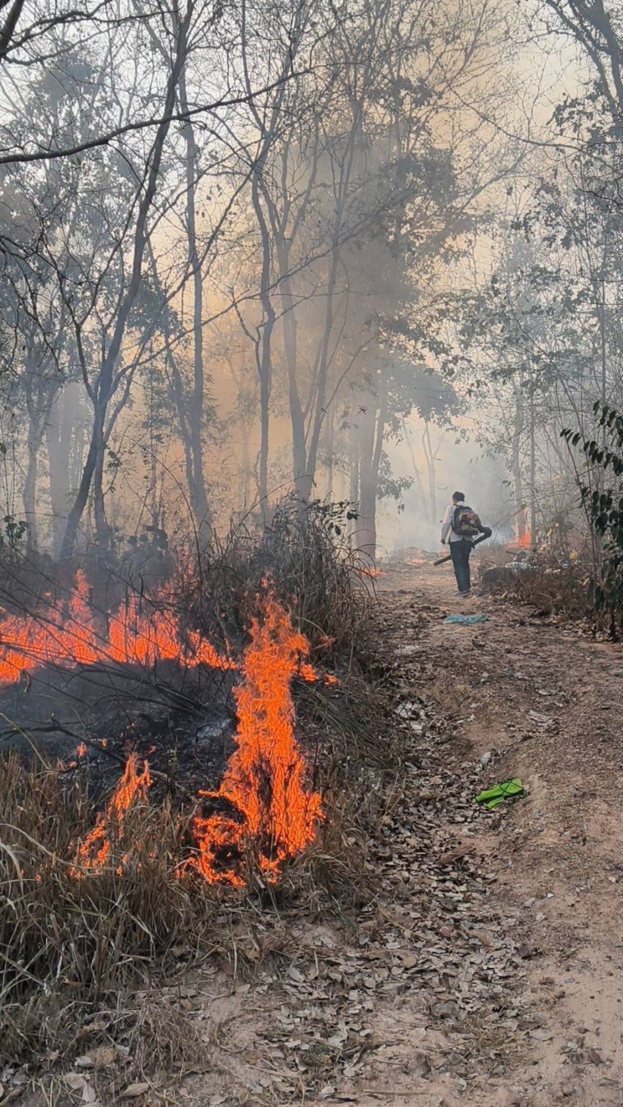 ตี๋ ภัทรพงษ์ นำทีม สส. ภาคเหนือ เปิดปฏิบัติการ "ส้มสู้ไฟป่า" season 2