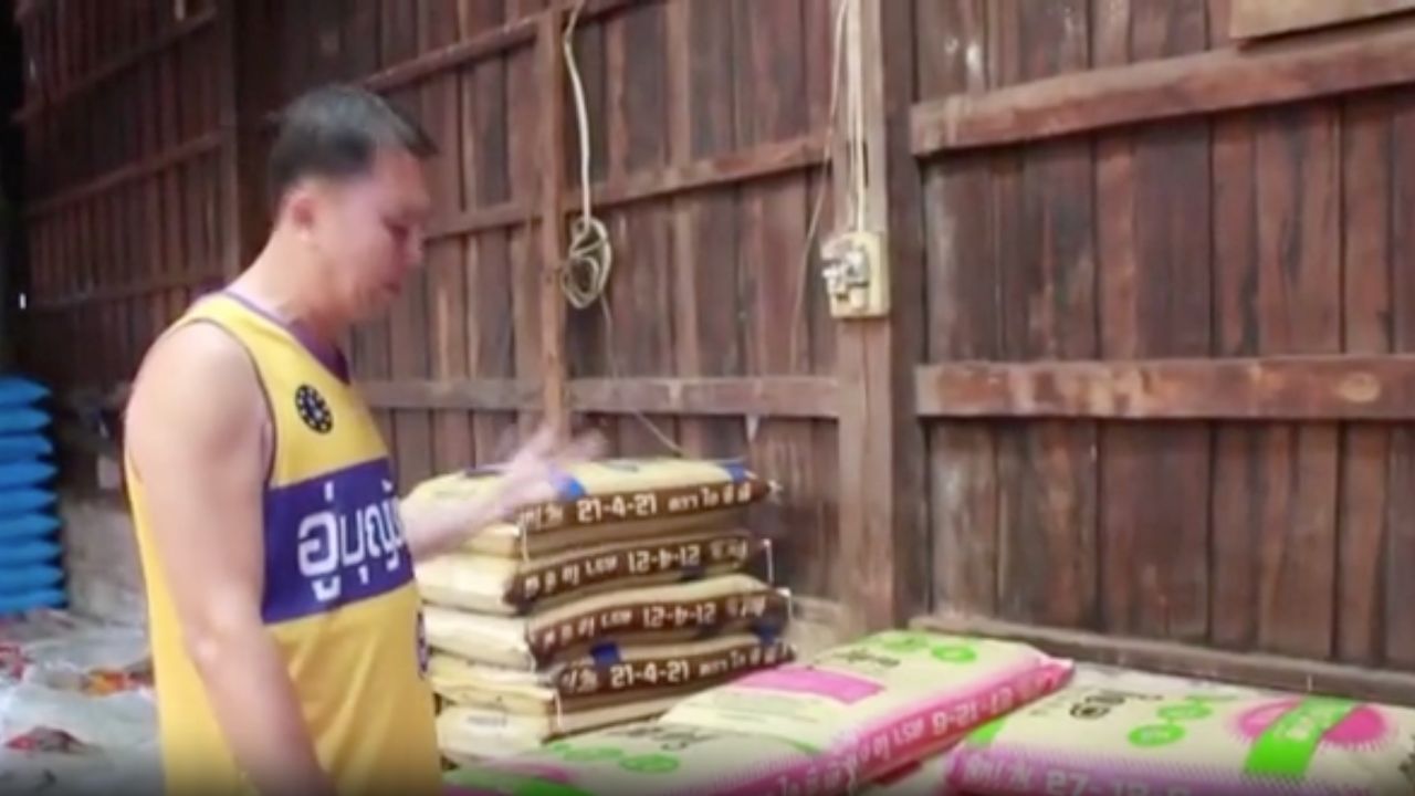 สงครามตะวันออกกลางส่งผล ปุ๋ยยูเรียเริ่มขาดตลาดในบุรีรัมย์