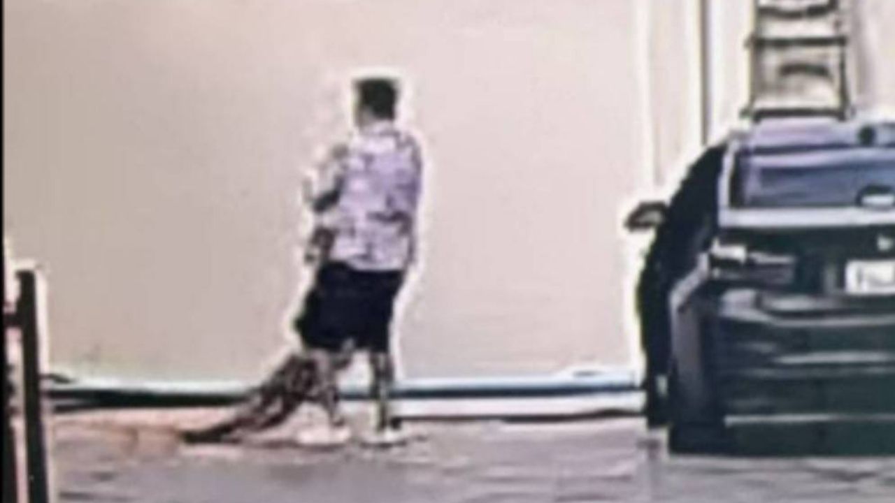 ตำรวจตามล่าชายจีนหลังอุ้มหญิงเพื่อนร่วมชาติทิ้งเป็นศพ