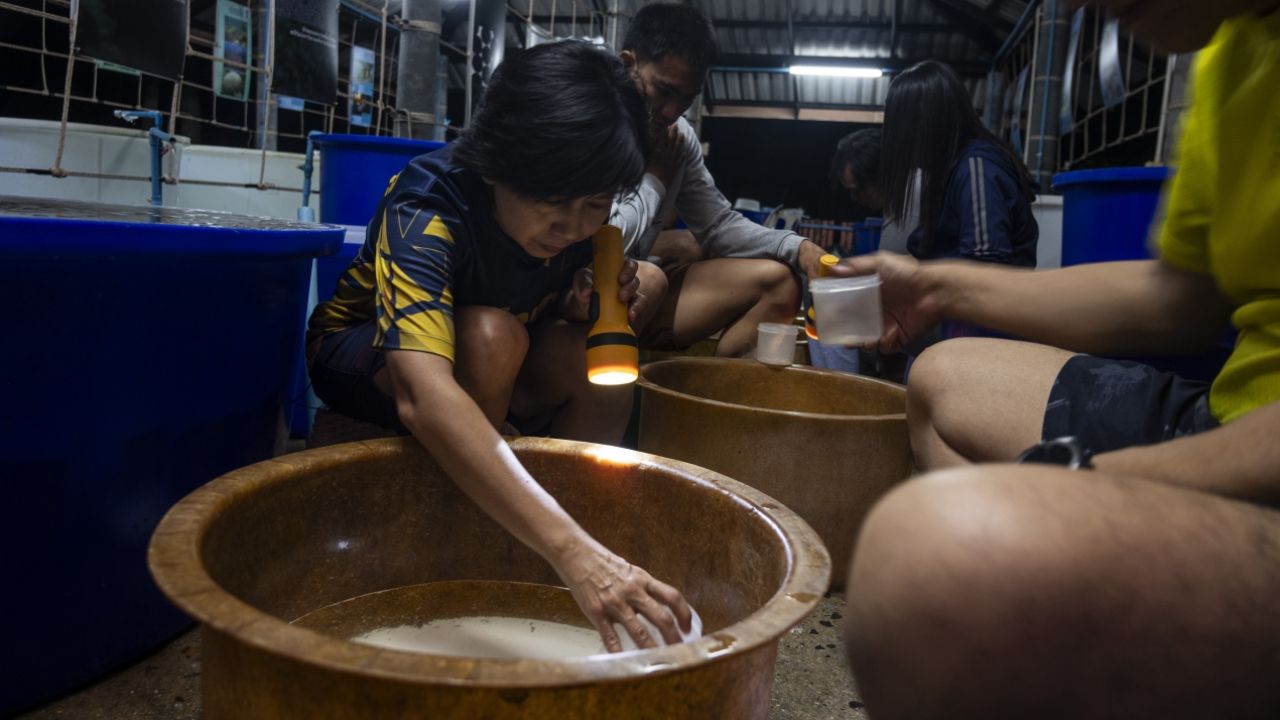 คนไทยคนแรก “อ.จุฬาฯ” คว้ารางวัล Pew Marine Fellowship 2026 ด้านการอนุรักษ์ทะเล