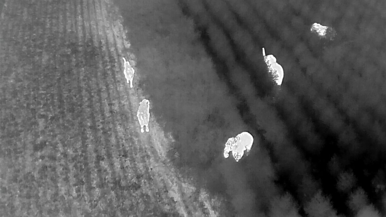 อุทยานฯ ทับลาน ปิดจุดชมวิวเขาสลักได หลังพบช้างและเสือโคร่ง