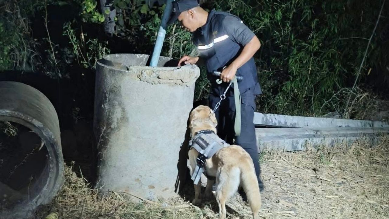 สุนัขตำรวจช่วยจับพ่อค้ายาเสพติด 3 พี่น้องในสุพรรณบุรี