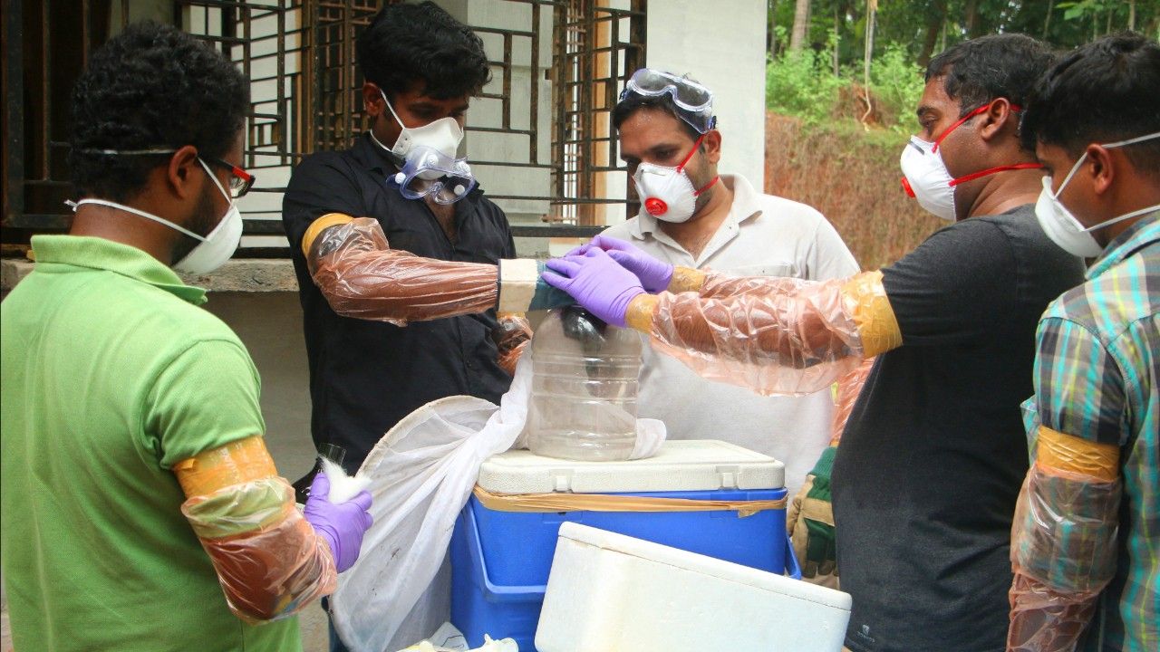 อินเดียยืนยันพบผู้ป่วยไวรัสนิปาห์เพียง 2 รายในเบงกอลตะวันตก