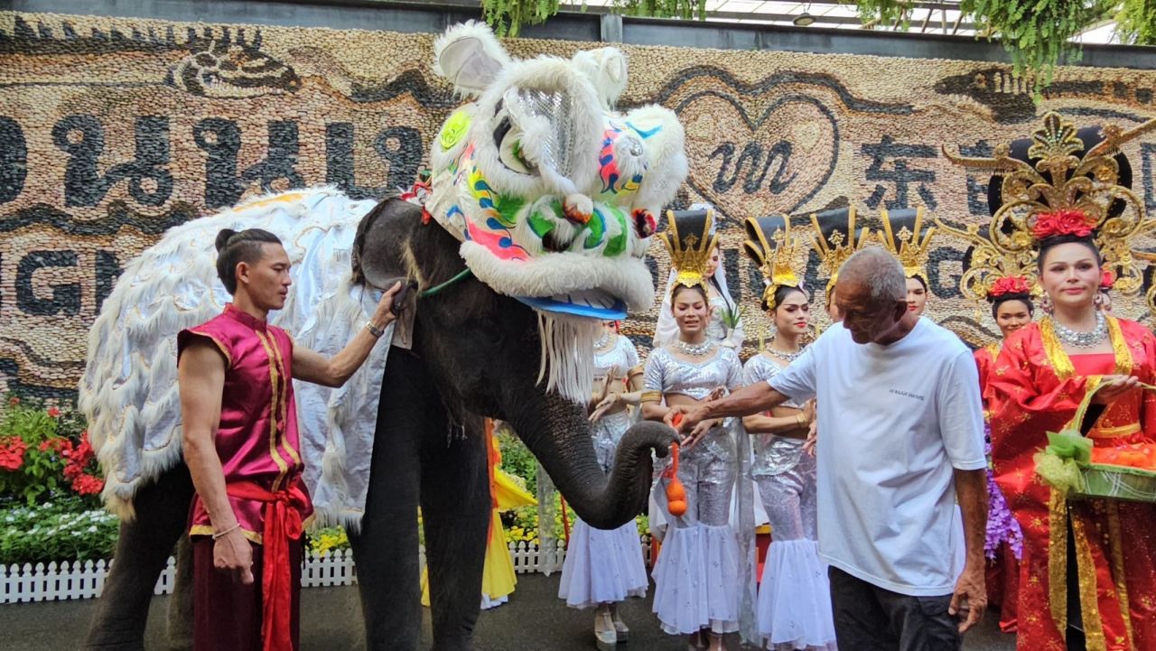 ตรุษจีน 2569 สวนนงนุชพัทยาจัดขบวนช้างและเชิดสิงโตต้อนรับนักท่องเที่ยว