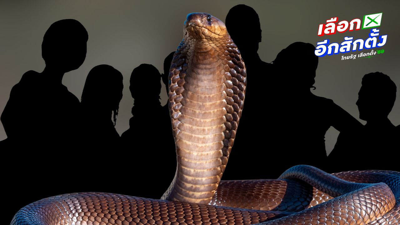 13 งูเห่าย้ายพรรคลงเลือกตั้ง 2569 สุ่มเสี่ยงสอบตก 9 ราย