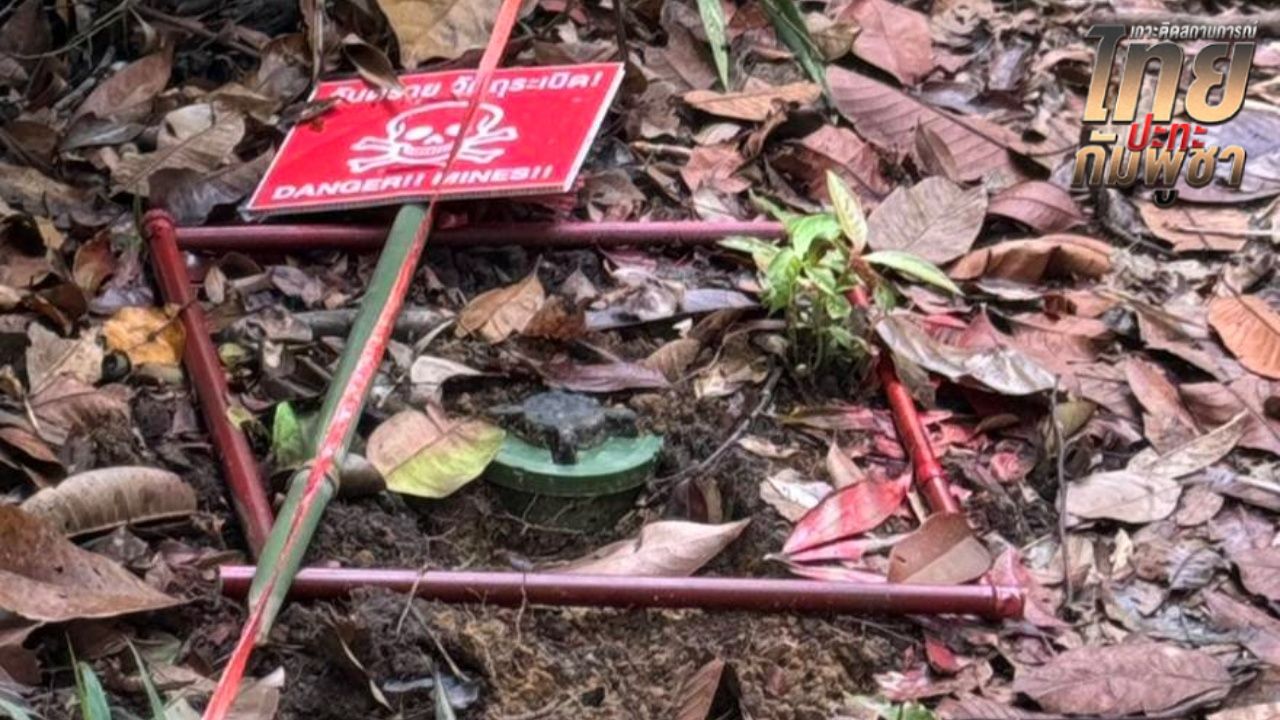 พบทุ่นระเบิด PMN-2 สภาพใหม่ 6 ลูก ที่ชายแดนตราด