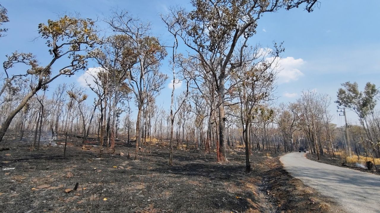 ผู้ว่าฯ นครราชสีมาควบคุมไฟป่าสถานีวิจัยสะแกราชได้แล้ว สาเหตุยังไม่ระบุชัด