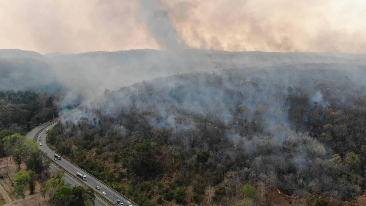 ไฟไหม้ป่าสถานีวิจัยสะแกราช โคราช เสียหายกว่า 7,000 ไร่