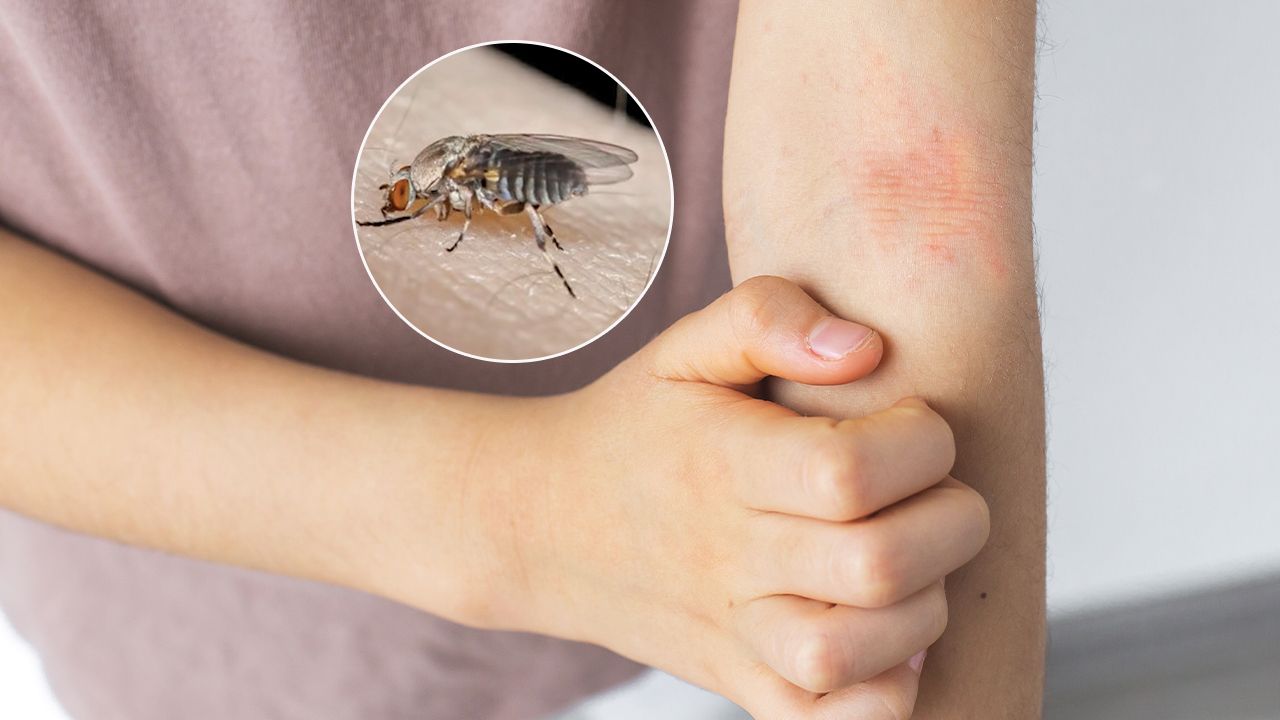 ทำความรู้จักกับตัวคุ่น: อันตรายที่มองข้าม