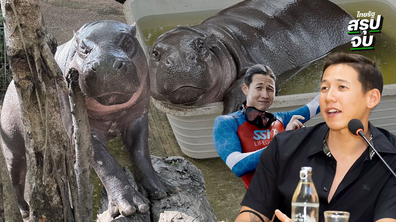 ดราม่า "ทราย สก๊อต" โพสต์ถึงสภาพ "หมูเด้ง" สวนสัตว์ชี้แจงดูแลตามมาตรฐาน