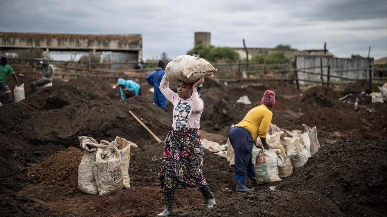 กระแสตื่นทองกลับมาในแอฟริกาใต้ หลังพบเกล็ดทองในคอกวัว