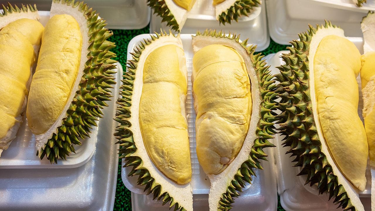 ชาวสวนเฮ พาณิชย์ยืนยันราคาทุเรียนปี 69 ไม่ต่ำกว่า 100 บาท เร่งส่งออกและบริโภคในประเทศ