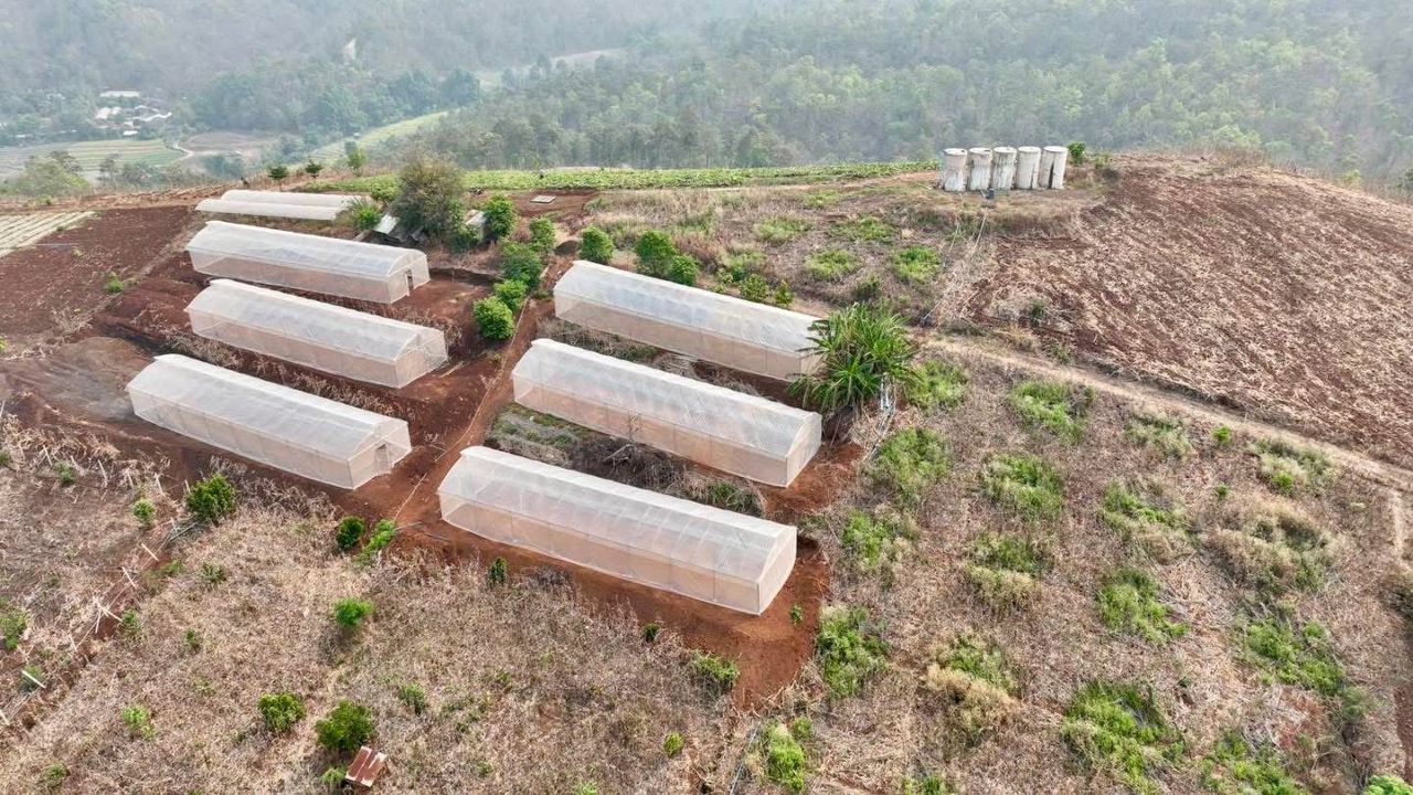 พลิกโฉมภาคเหนือสู่เกษตรปลอดการเผา งานวิจัยลดฝุ่น PM2.5 ยกระดับชีวิตประชาชน