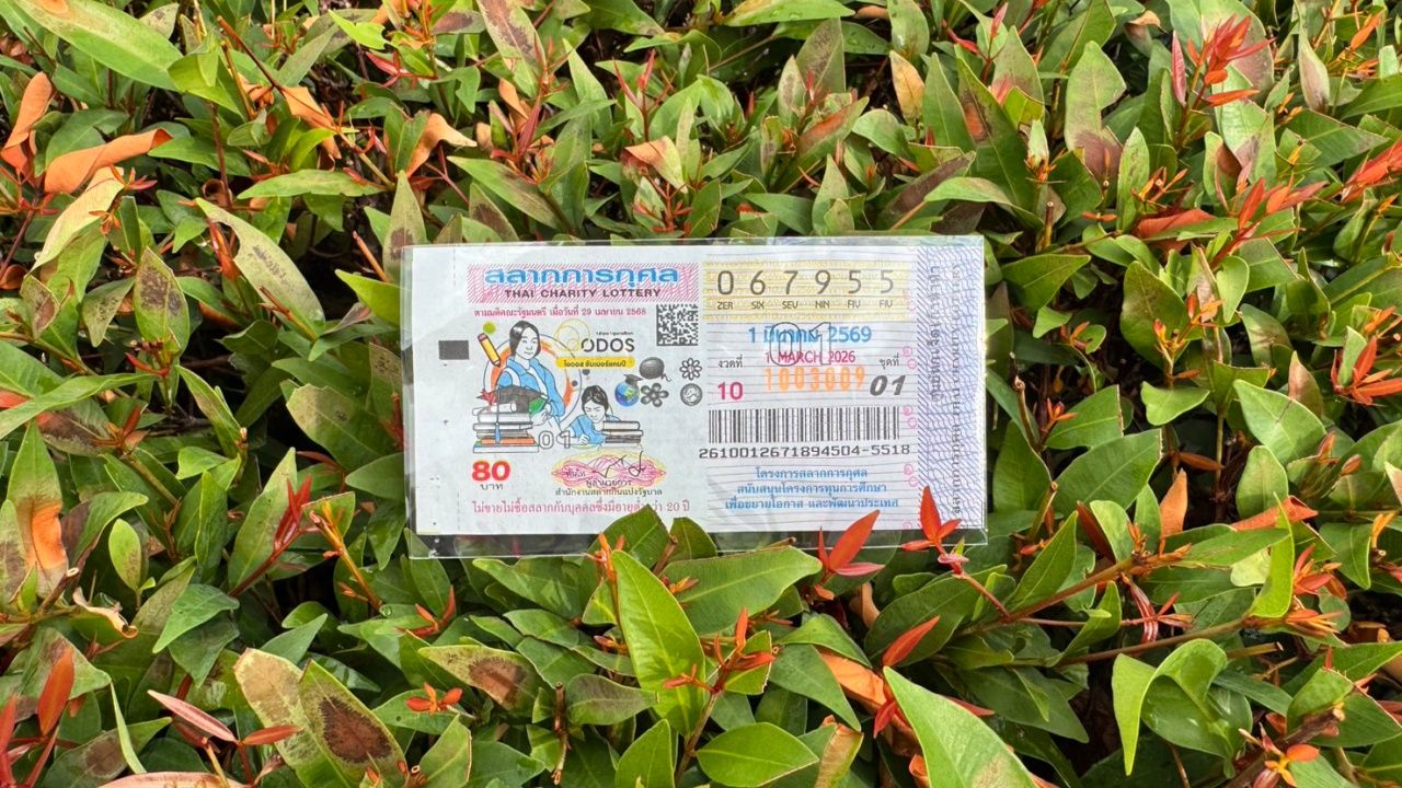 10 อันดับเลขเด็ดหวยงวด 1 มีนาคม 2569 ขายดีจนเกลี้ยงแผง แม่ค้าชี้เลขดังจากสุราษฎร์ธานี