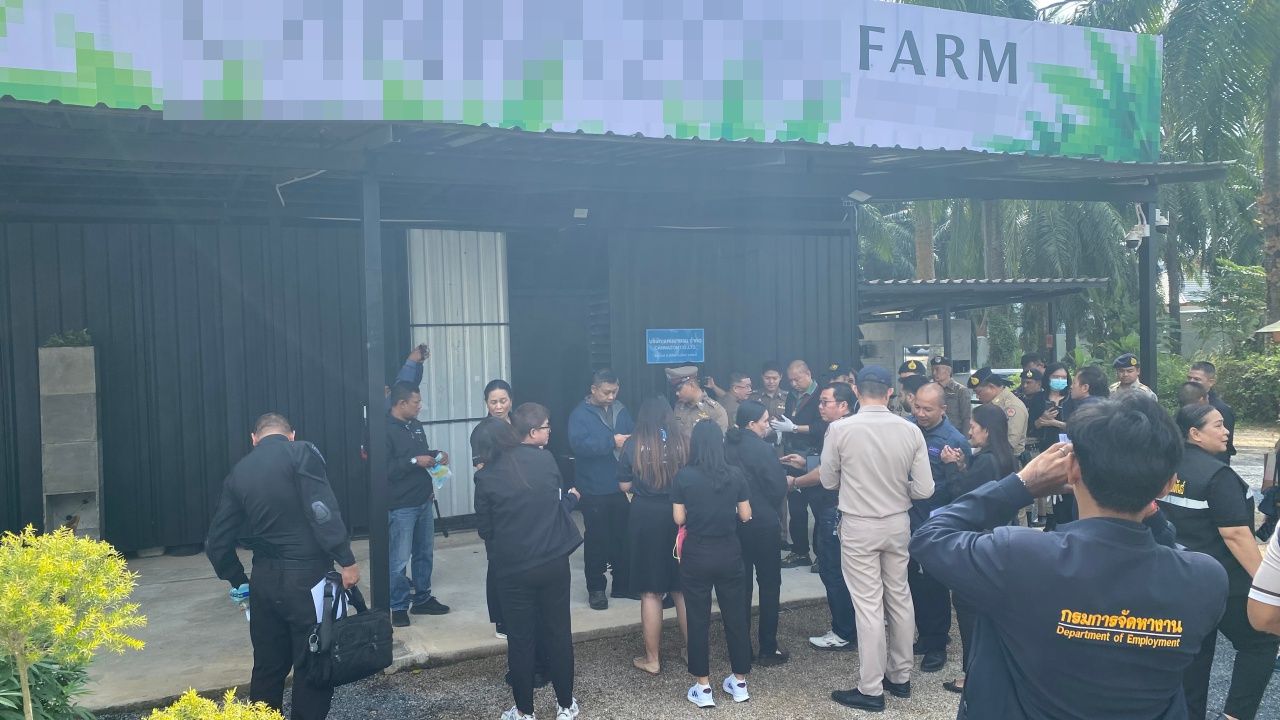 ผู้ว่าฯกระบี่ สั่งระงับใบอนุญาตฟาร์มกัญชา เตรียมดำเนินคดีต่างชาติ-นอมินีคนไทย