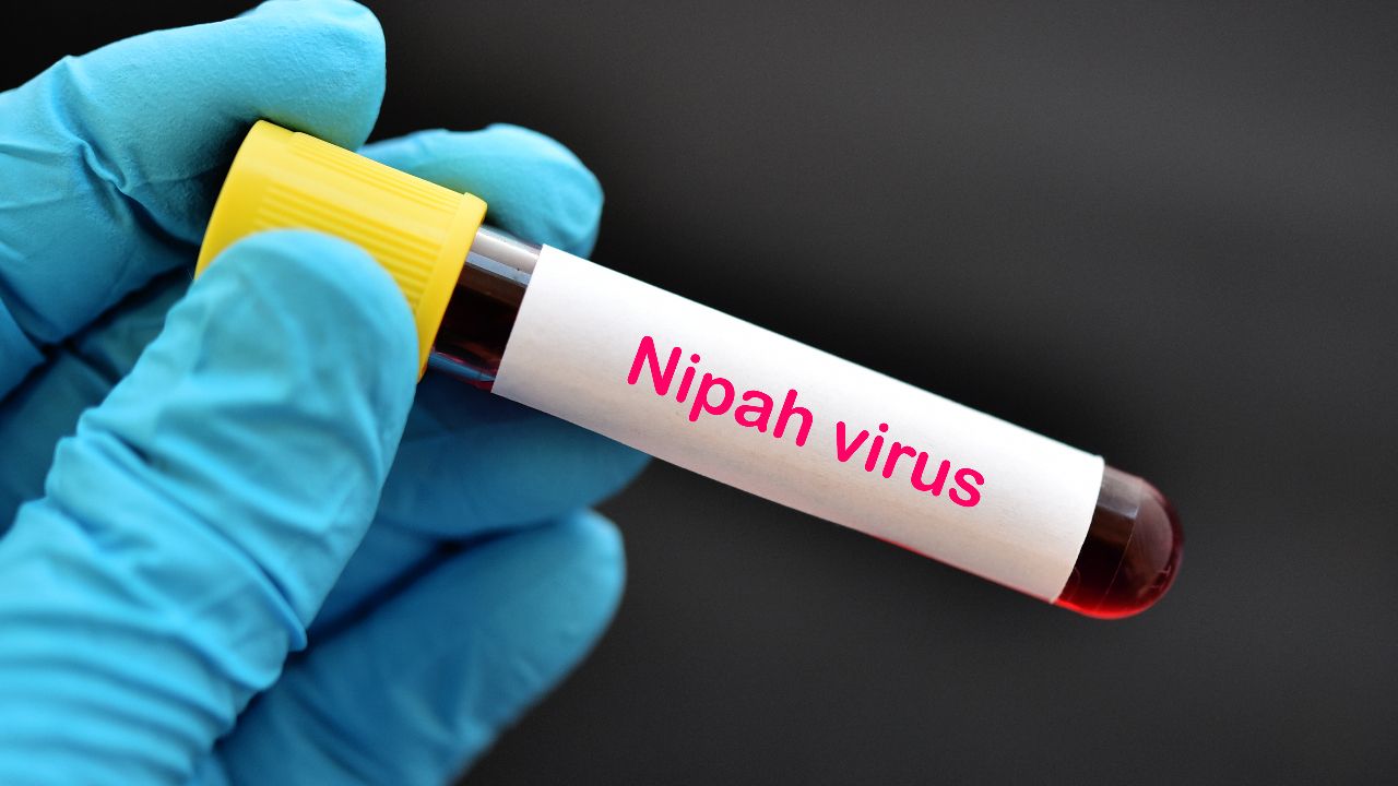 อินเดียเร่งควบคุมการระบาดไวรัสนิปาห์ หลังพบผู้ติดเชื้อเพิ่ม 5 ราย