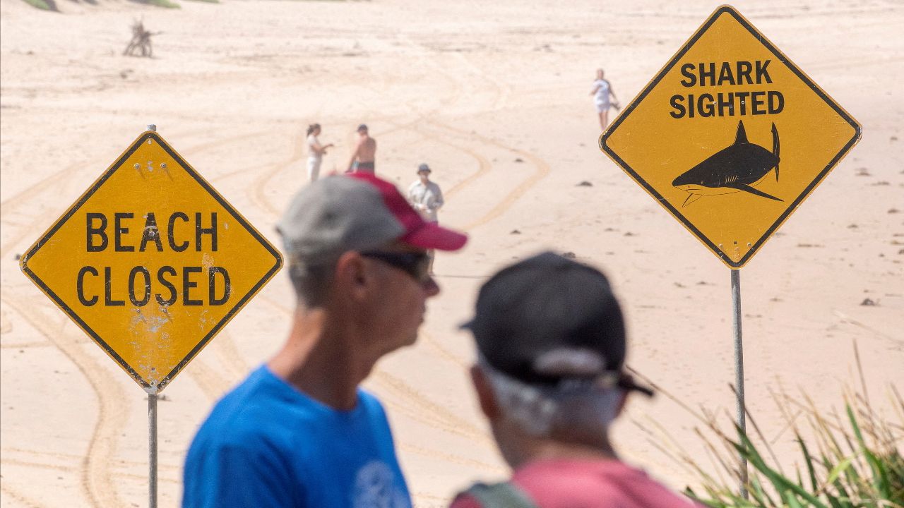 ฉลามโจมตีชายเล่นเซิร์ฟในนิวเซาท์เวลส์ เพิ่มความวิตกกังวล