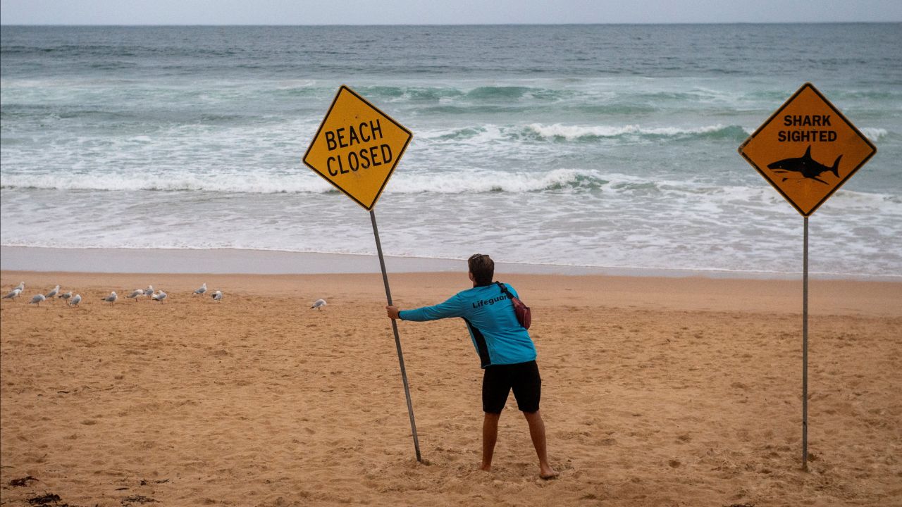 ซิดนีย์เกิดเหตุฉลามโจมตี 3 ครั้งใน 2 วัน บาดเจ็บสาหัส 2 ราย