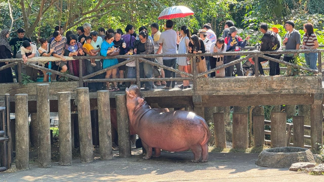 สวนสัตว์เปิดเขาเขียวเชิญชวนเด็กเที่ยวฟรีในวันเด็กแห่งชาติ 2569