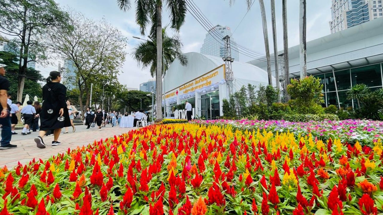 บริการรถรับส่งฟรีงานกาชาด 2568 ระหว่าง BTS สนามกีฬาและสวนลุมพินี