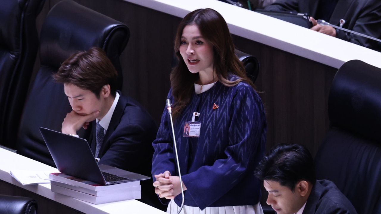 “พนิดา” เสนอหั่นงบฯ อบรมหลักสูตรพนักงานไต่สวนฯ ระดับต้นของ กกต. 11.9 ล้าน