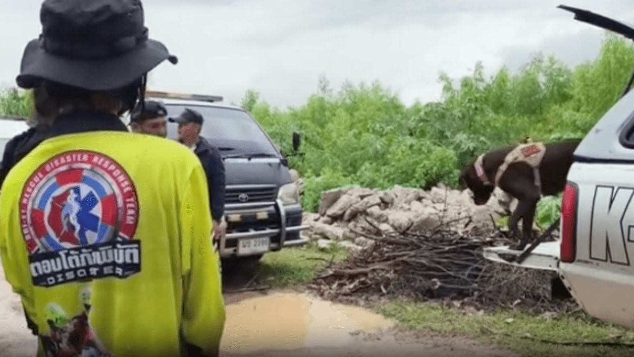 ระดมกำลังเจ้าหน้าที่ นำสุนัข K9 ช่วยค้นหา หญิงวัย 41 หายในป่าทาม