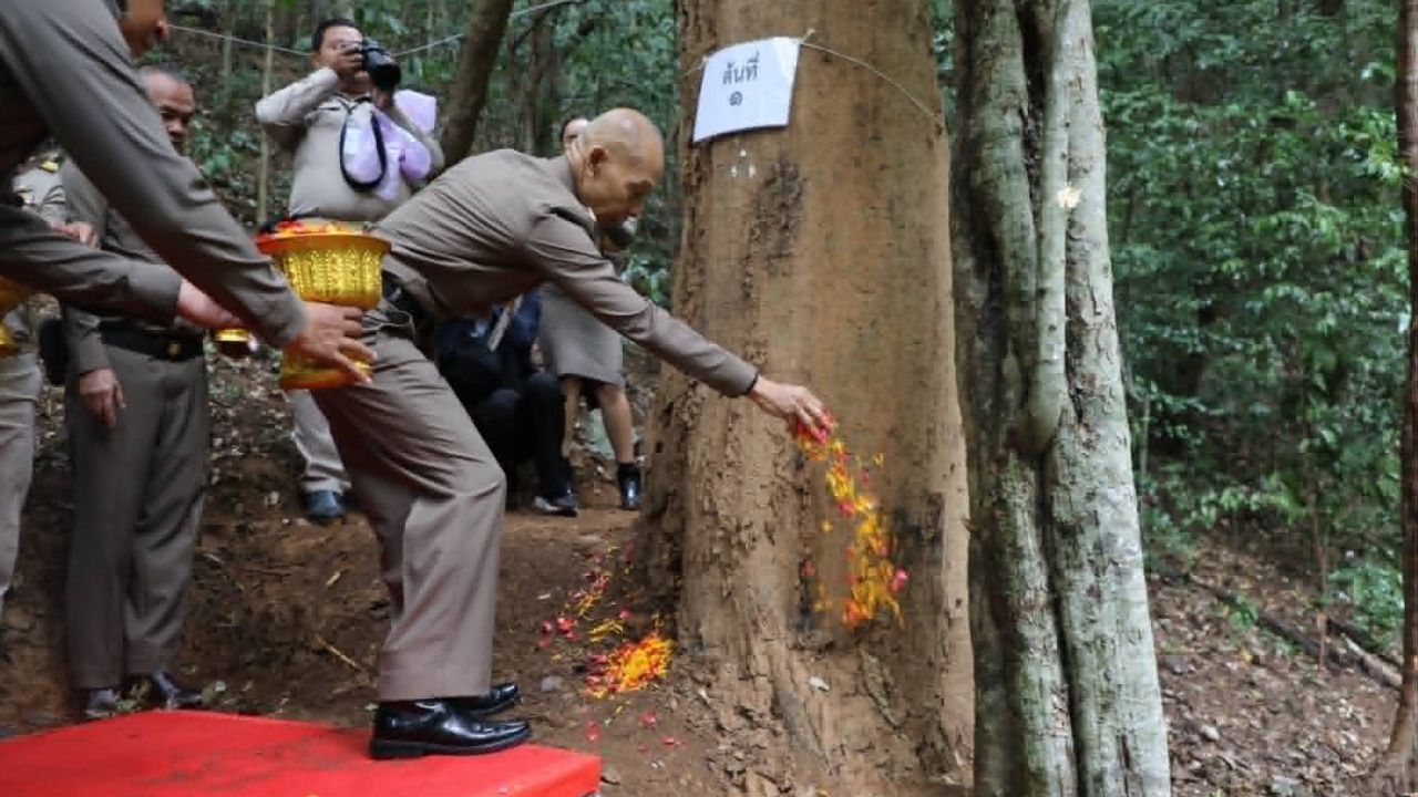 พิธีบวงสรวงตัด “ไม้จันทน์หอม” อุทยานแห่งชาติกุยบุรี ใช้ในพระราชพิธี “พระองค์ภา”