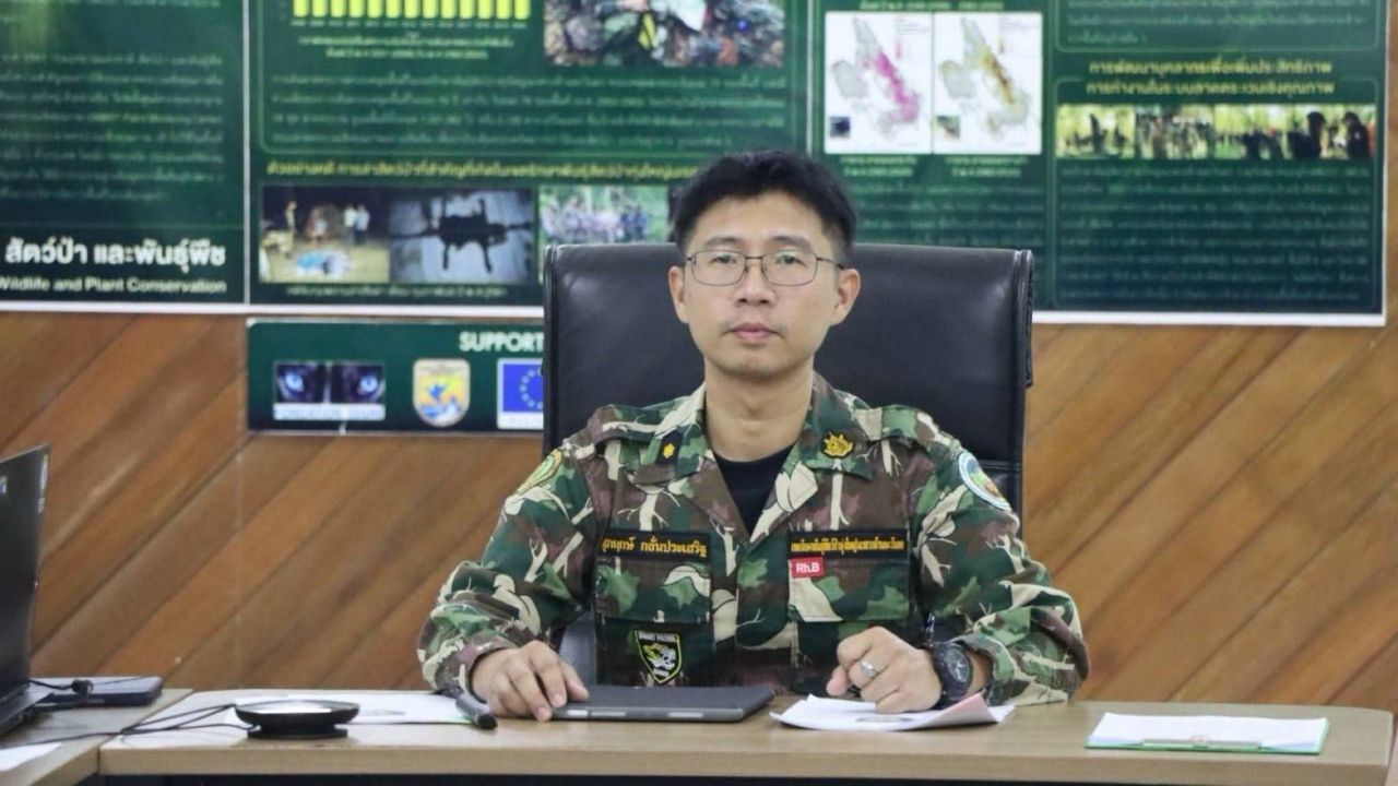 ทุ่งใหญ่นเรศวรฯ แจงไม่พบโรงงานไม้กลางป่า ยันลาดตระเวนเข้ม 24 ชม.