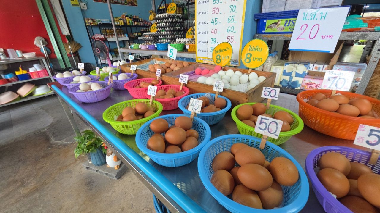 อุทัยธานี “ไข่ไก่” ปรับขึ้นราคาแผงละ 5 บาท แม่ค้าเผยไทยช่วยไทยพลัส ยังช่วยประคองยอดขาย