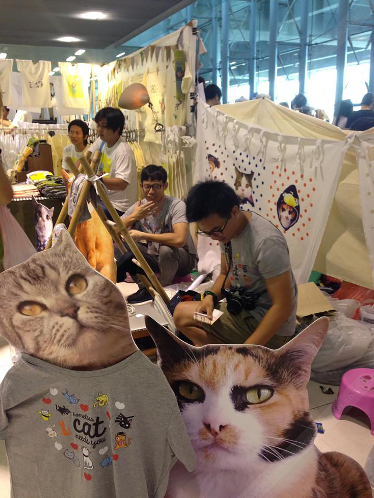 ซื้อเสื้อยืดรายได้สมทบทุนช่วยแมวนะเมี้ยวววว