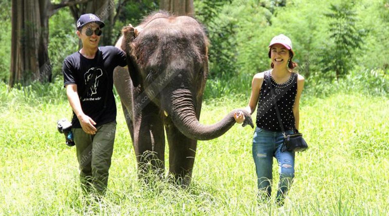 คู่รักช่วยช้าง