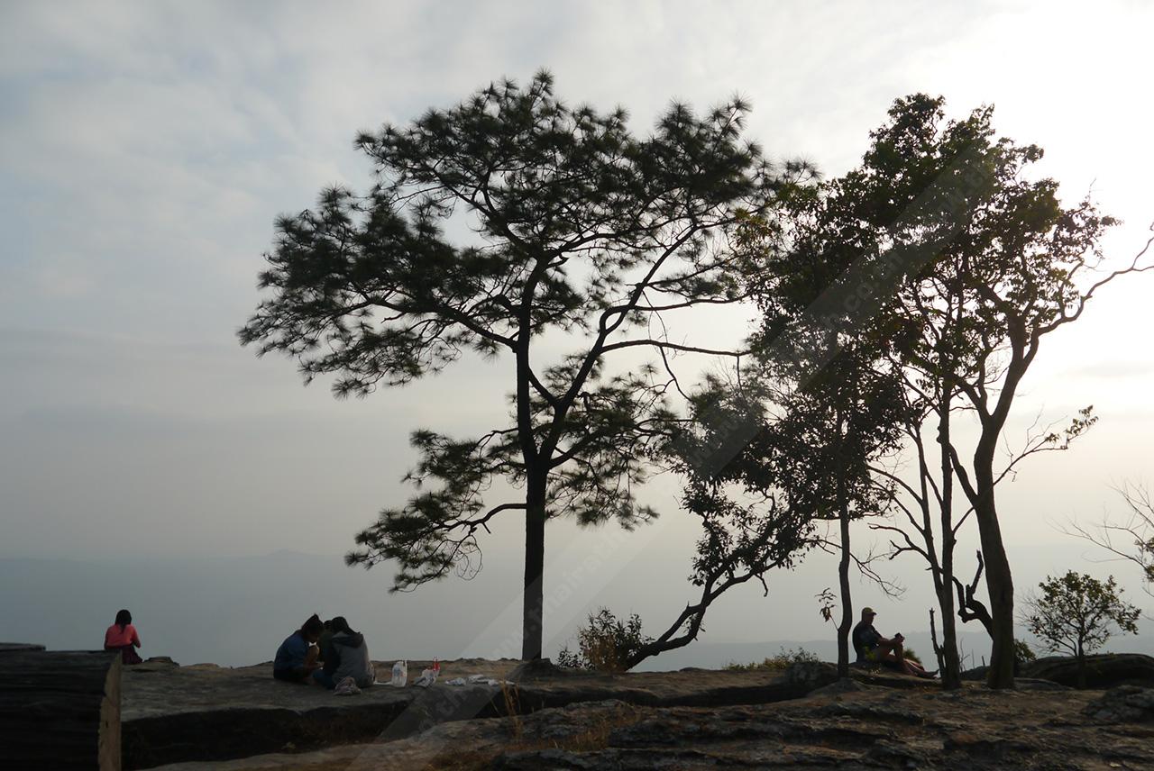 แสงเงาให้บรรยากาศสวยๆ