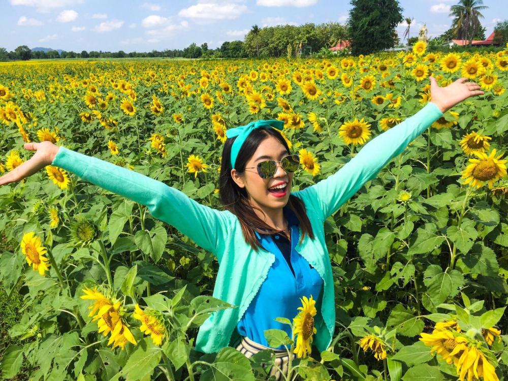 สวยๆ กลางทุ่งทานตะวัน